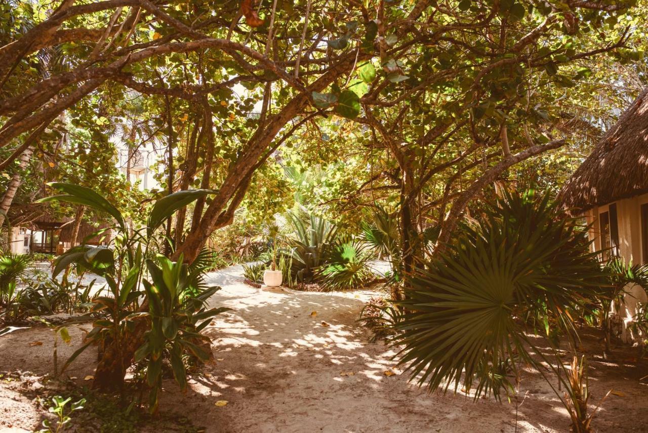 Esencial Tulum Hotell Exteriör bild