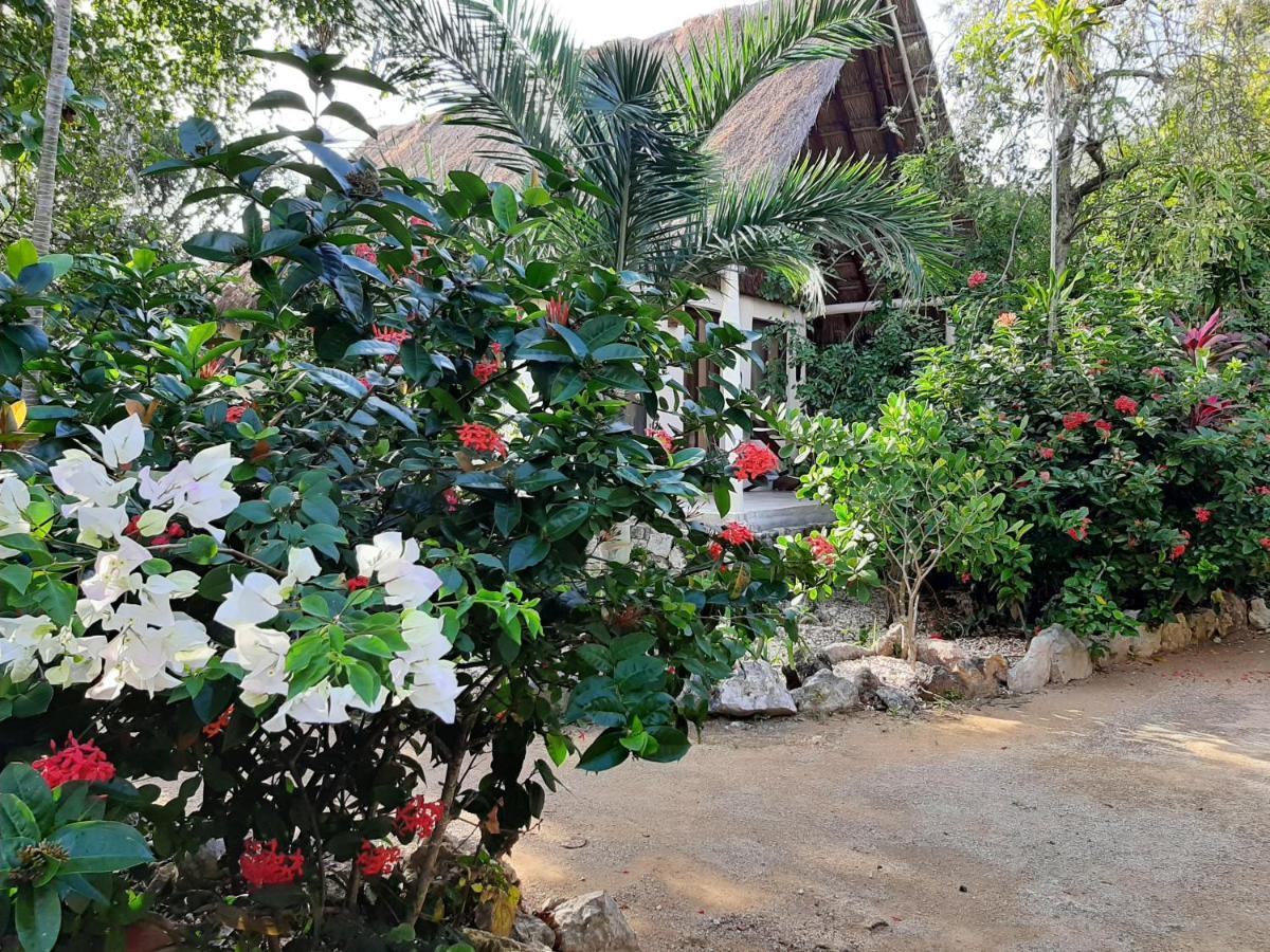 Esencial Tulum Hotell Exteriör bild
