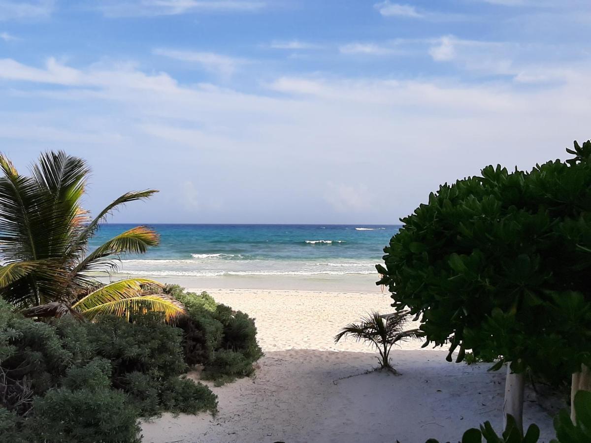 Esencial Tulum Hotell Exteriör bild